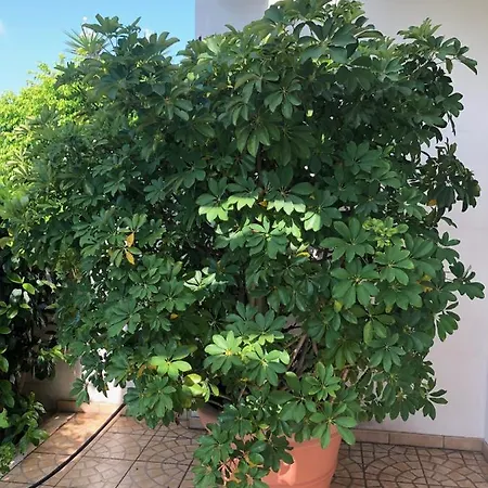 Ferienhaus Bel Giardino *